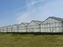 dazu-nieruchomosc-rolna-3983-ha-z-szklarniami-dluzyna-gorna-b7b9c3-zdjecie-2