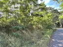 dazu-zary-20min-zielona-gora-30min-media-mpzp-af1f00-zdjecie-14