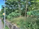 dazu-zary-20min-zielona-gora-30min-media-mpzp-af1f00-zdjecie-5
