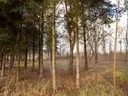 dazu-dzialka-budowlana-koszecin-1024m2-ul-slowikow-2c0721-zdjecie-10