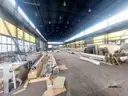 dazu-kompleks-magazynowo-biurowy-2078-m2-promnik-bf9b60-zdjecie-3
