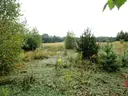 dazu-dzialka-z-wz-w-wyjatkowo-atrakcyjnej-lokalizacji-7a33c0-zdjecie-7