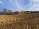 dazu-dzialka-budowlana-na-sprzedaz-dominikowice-871423-zdjecie-2