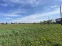 dazu-mpzp-plaski-teren-media-w-drodze-spokojna-5690b7-zdjecie-12