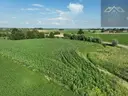 dazu-dzialka-rolna-80-arow-w-miechowicach-2c916b-zdjecie-5