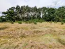dazu-wymarzony-dom-w-naturze-dzialka-w-okazyjnej-ceni-1815c2-zdjecie-9