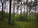 dazu-dzialka-budowlana-w-centrum-miasta-zarki-letnisko-93bdfd-zdjecie-4