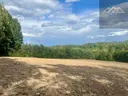 dazu-dzialki-budowlane-blisko-tuchowa-535724-zdjecie-2