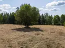 dazu-dzialka-budowlana-koszecin-1117m2-slowikow-8e3957-zdjecie-23