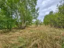 dazu-dzialka-rekreacyjna-w-nowych-zuchowicach-69e9e8-zdjecie-5
