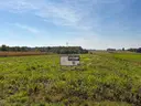 dazu-wyjatkowe-dzialki-budowlane-na-sprzedaz-naleczow-7706e2