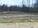 dazu-dzialka-budowlana-pod-lasem-1085-m2-26c1fd-zdjecie-4