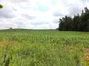 dazu-dzialka-budowlana-na-mazurach-rozynsk-wielki-d4cad0-zdjecie-7