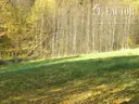 dazu-gorlice-dzialka-budowlana-23-a-1067s-c8b90a