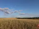 dazu-dzialka-budowlana-blisko-jeziora-bad650