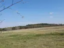 dazu-nieruchomosc-rolna-3983-ha-z-szklarniami-dluzyna-gorna-b7b9c3-zdjecie-5