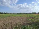 dazu-dzialka-inwestycyjna-przy-s8-1e80c5-zdjecie-6
