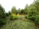 dazu-dzialka-z-wz-w-wyjatkowo-atrakcyjnej-lokalizacji-7a33c0-zdjecie-8