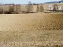 dazu-dzialka-budowlana-na-sprzedaz-dominikowice-871423-zdjecie-10