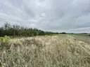 dazu-dzialki-budowlane-1000-m2-wz-projekt-domu-e11b90-zdjecie-19