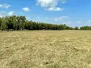 dazu-dzialka-budowlana-1425-m2-rafalowka-c915c2-zdjecie-4
