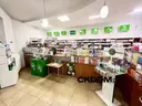 dazu-lokal-1158-m2-w-centrum-kielc-idealny-pod-aptek-8de9c6