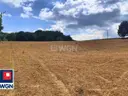 dazu-dzialka-na-sprzedaz-celejow-celejow-875c63-zdjecie-3