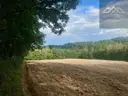 dazu-dzialki-budowlane-blisko-tuchowa-535724-zdjecie-8