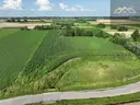 dazu-dzialka-rolna-80-arow-w-miechowicach-2c916b-zdjecie-8