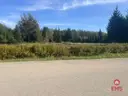 dazu-dzialka-do-wynajecia-w-swietnej-lokalizacji-e6daa9-zdjecie-5