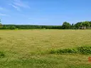 dazu-dzialka-4400-m2-szudzialowo-ec32f6-zdjecie-6