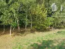 dazu-gorlice-dzialka-budowlana-24-a-1157s-c4b8f1-zdjecie-3