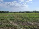 dazu-dzialka-inwestycyjna-przy-s8-1e80c5-zdjecie-8