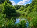 dazu-dzialka-rekreacyjna-na-sprzedaz-kedzierzyn-kozle-klodnica-blonie-53aa72
