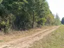 dazu-ciasne-dzialka-budowlana-5100-m2-d9ddc2-zdjecie-3