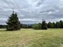 dazu-widok-na-tatry-mpzpbudowlananaslonecznionalas-4643da-zdjecie-15