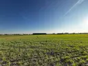 dazu-wz-woda-prad-gaz-kanalizacja-w-poblizu-7ad223-zdjecie-15