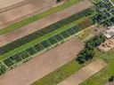 dazu-dzialki-budowlane-1000-m2-wz-projekt-domu-e11b90-zdjecie-2