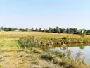 dazu-ciasne-dzialka-budowlana-5100-m2-d9ddc2-zdjecie-8