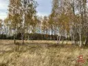 dazu-sobolewo-zaciszna-dzialka-obok-miasta-ed0047