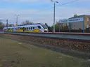dazu-piekna-dzialka-blisko-lasu-miloszyce-d06002-zdjecie-7