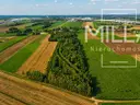 dazu-prywatna-oaza-zieleni-w-zelgoszczy-755f0e