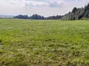 dazu-dzialka-rolno-budowlana-2533-m2-studzianki-c38331