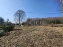 dazu-dzialka-siedliskowa-pomiedzy-lasami-c9cf3f-zdjecie-7