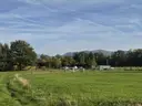 dazu-urocza-dzialka-nieopodal-ustronia-841322
