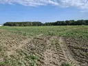 dazu-dzialka-inwestycyjna-przy-s8-1e80c5-zdjecie-7