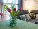 dazu-dom-w-zabudowie-blizniaczej-olsztyn-ul-bydgoska-swietna-oferta-04e593-zdjecie-5