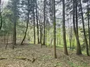 dazu-twoja-wlasna-czesc-natury-majatek-ktorego-nie-da-sie-dodrukowac-d0d0ad-zdjecie-9