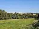 dazu-chojnik-3386-ar-dzialka-widokowa-rezerwacja-334a6d-zdjecie-9