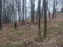 dazu-dzialka-rolno-budowlana-80-arow-z-budynkiem-gospodarczym-w-sedziszowej-e3bc4f-zdjecie-5